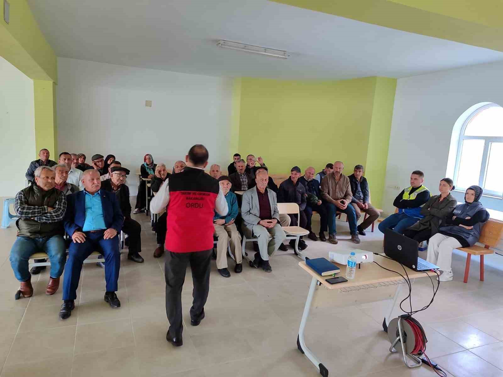 Ordu&rsquo;da kahverengi kokarca ile m&uuml;cadele s&uuml;r&uuml;yor
