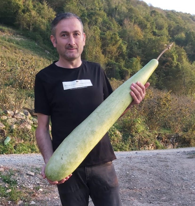 Fatsa&rsquo;da 90 santimetrelik kabak yetiştirildi
