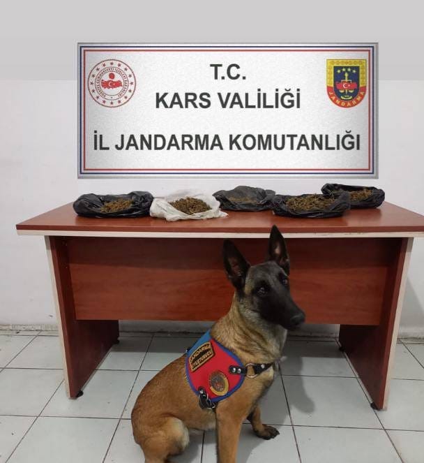Kars’ta 700 gram bonzai ele geçirildi