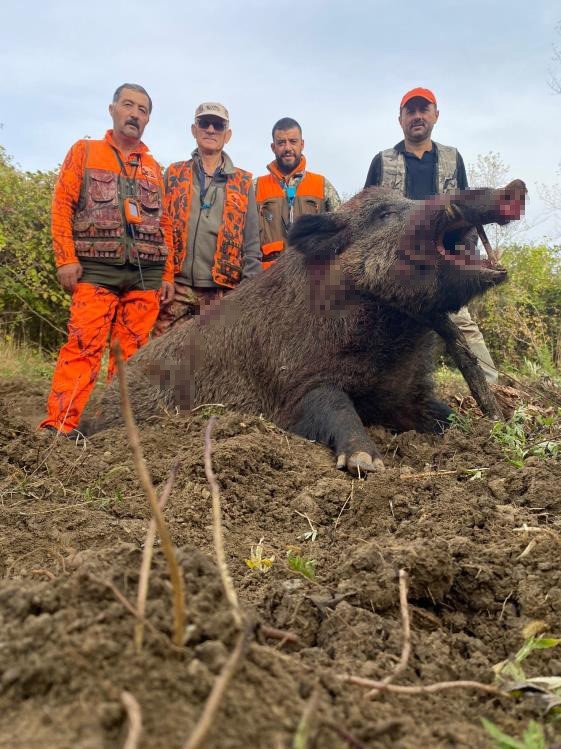 Dev domuz, avcılar tarafından vuruldu
