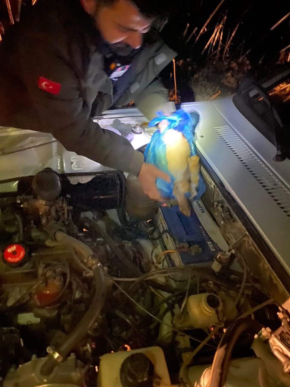 Kahramanmaraş&rsquo;ta farla tavşan avında yakalanan şahısların otomobiline el konuldu
