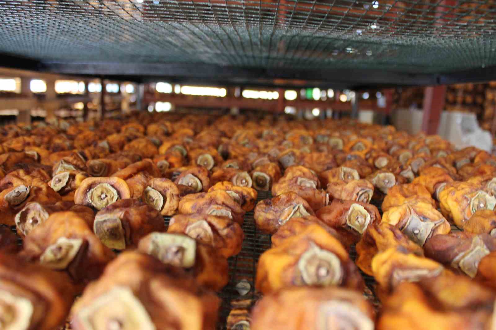 Hurma kurutma işi mahalleyi fabrikaya çevirdi
