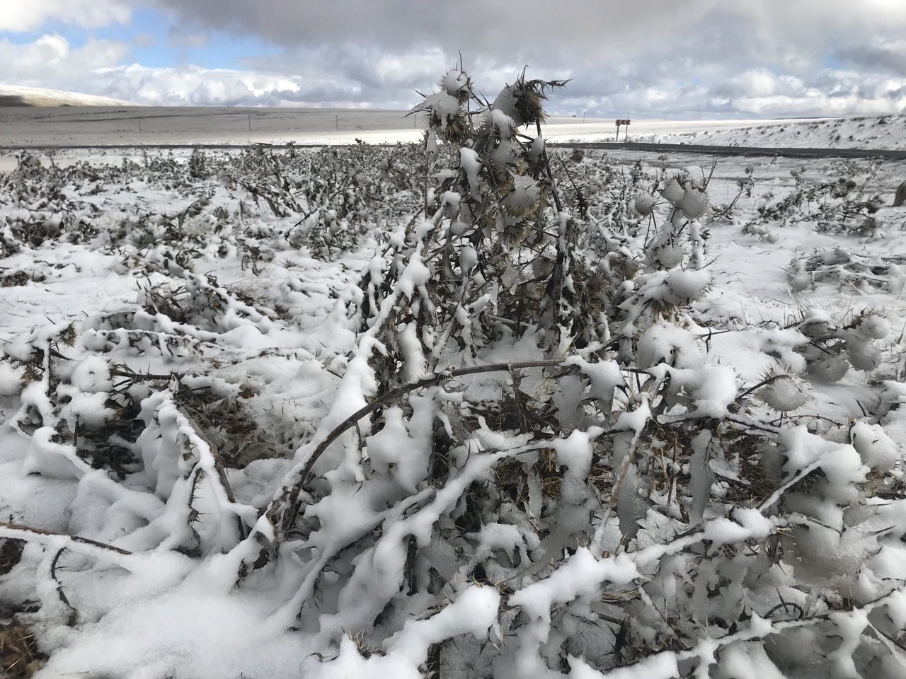 Ardahan’ın yüksek kesimleri karla kaplandı