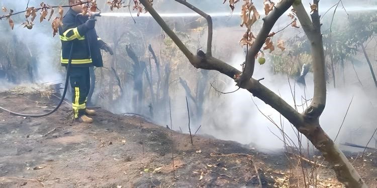 Çankırı’da çıkan arazi yangını kısa sürede söndürüldü
