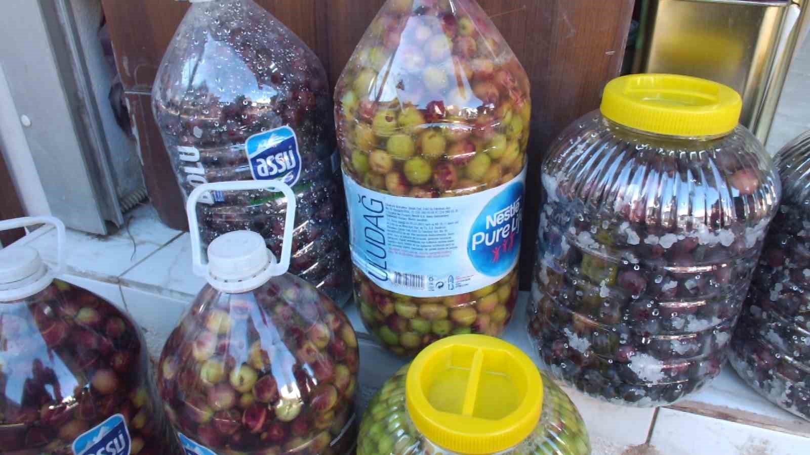 Balıkesir&rsquo;de kırma zeytin hazırlanmasına başlandı
