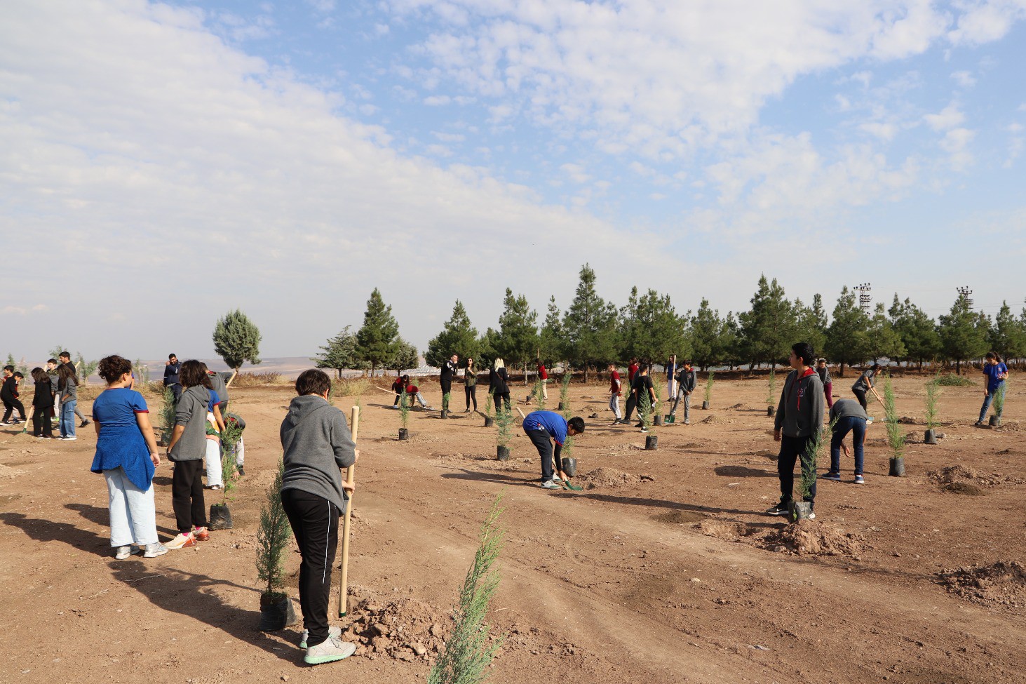 Diyarbakır’da öğrenciler fidan dikti