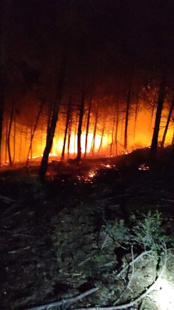 Ormanlık alanda &ccedil;ıkan &ouml;rt&uuml; yangını korkuttu
