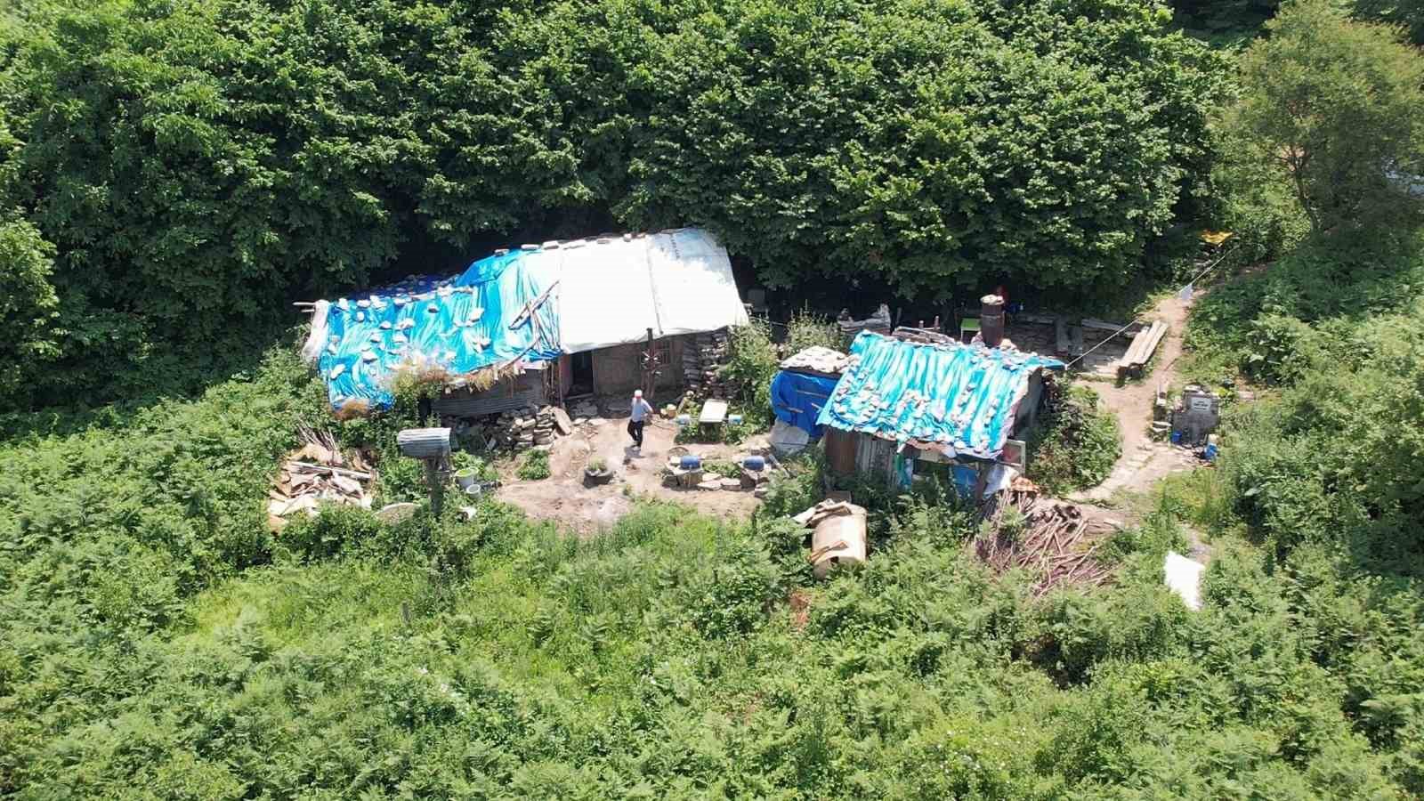 Dağ başında tek başına yaşıyor
