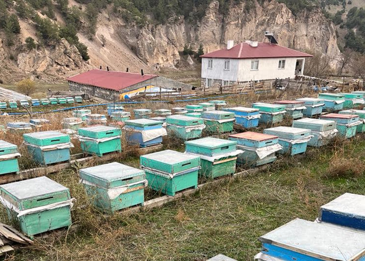 Tarım ve Orman M&uuml;d&uuml;r&uuml; Aydın arıcılarla buluştu
