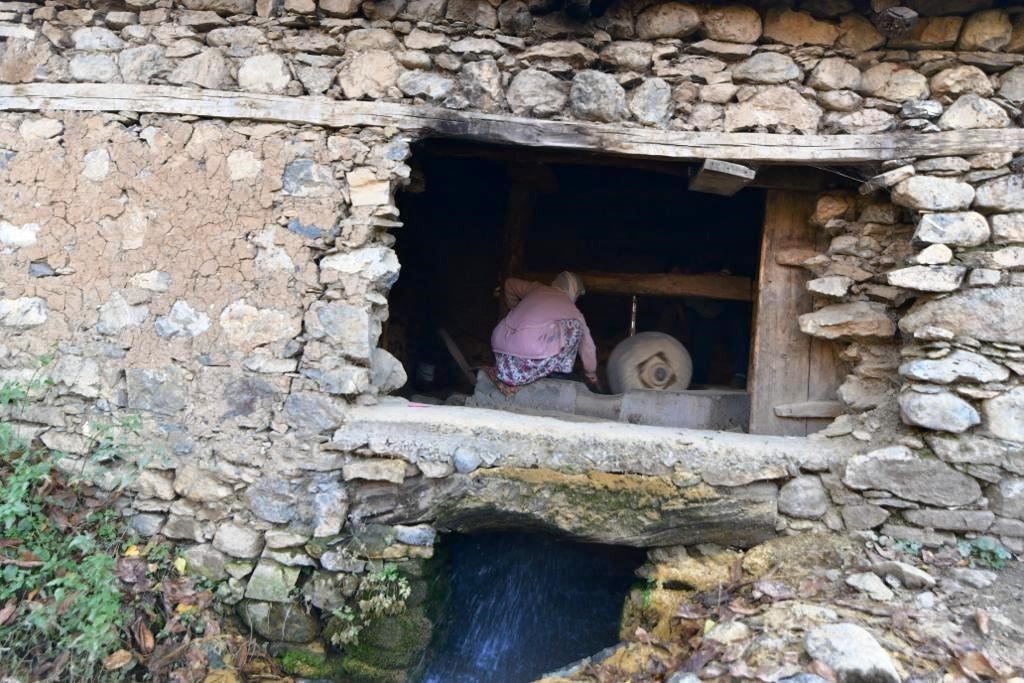 Hizan’da üretilen çeltik asırlık su değirmeninde öğütülüyor