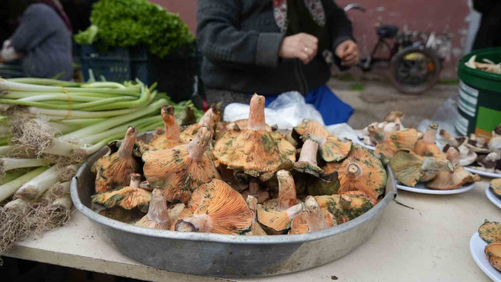 Sabriye teyzenin kanlıca mantarı mesaisi