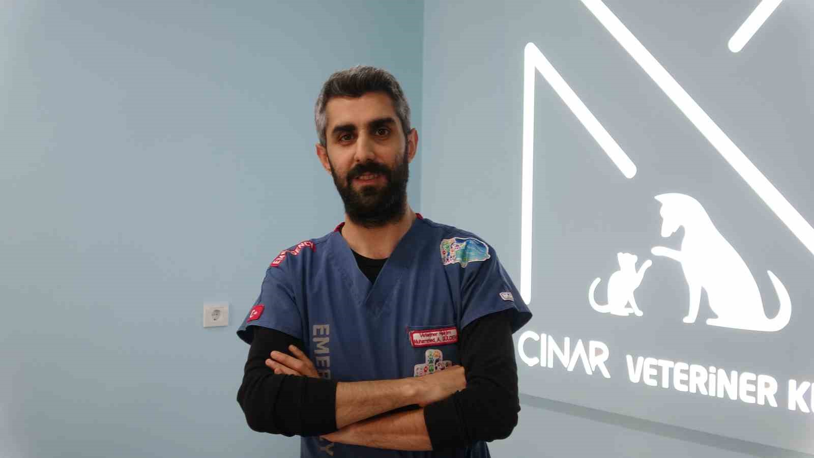 Evcil hayvanı olanlar dikkat, uyuz kapma riski bulunuyor
