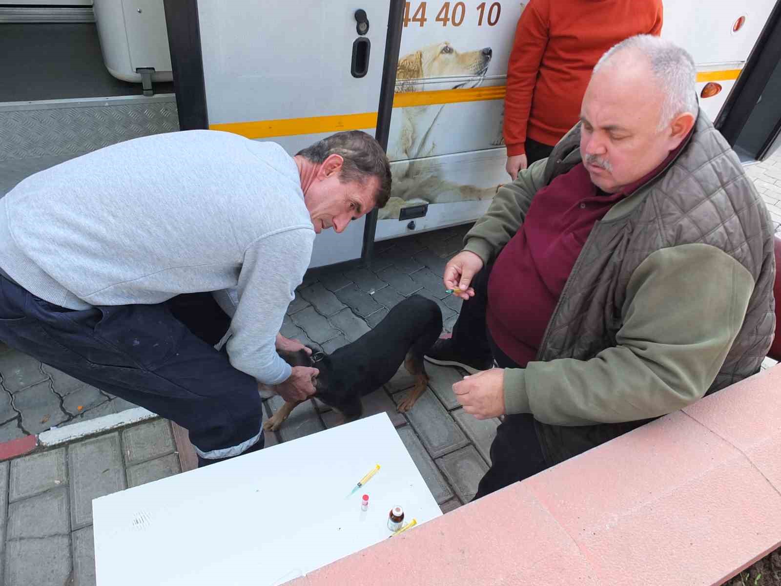 Balıkesir&rsquo;de VETB&Uuml;S sokak hayvanlarına şifa dağıtıyor
