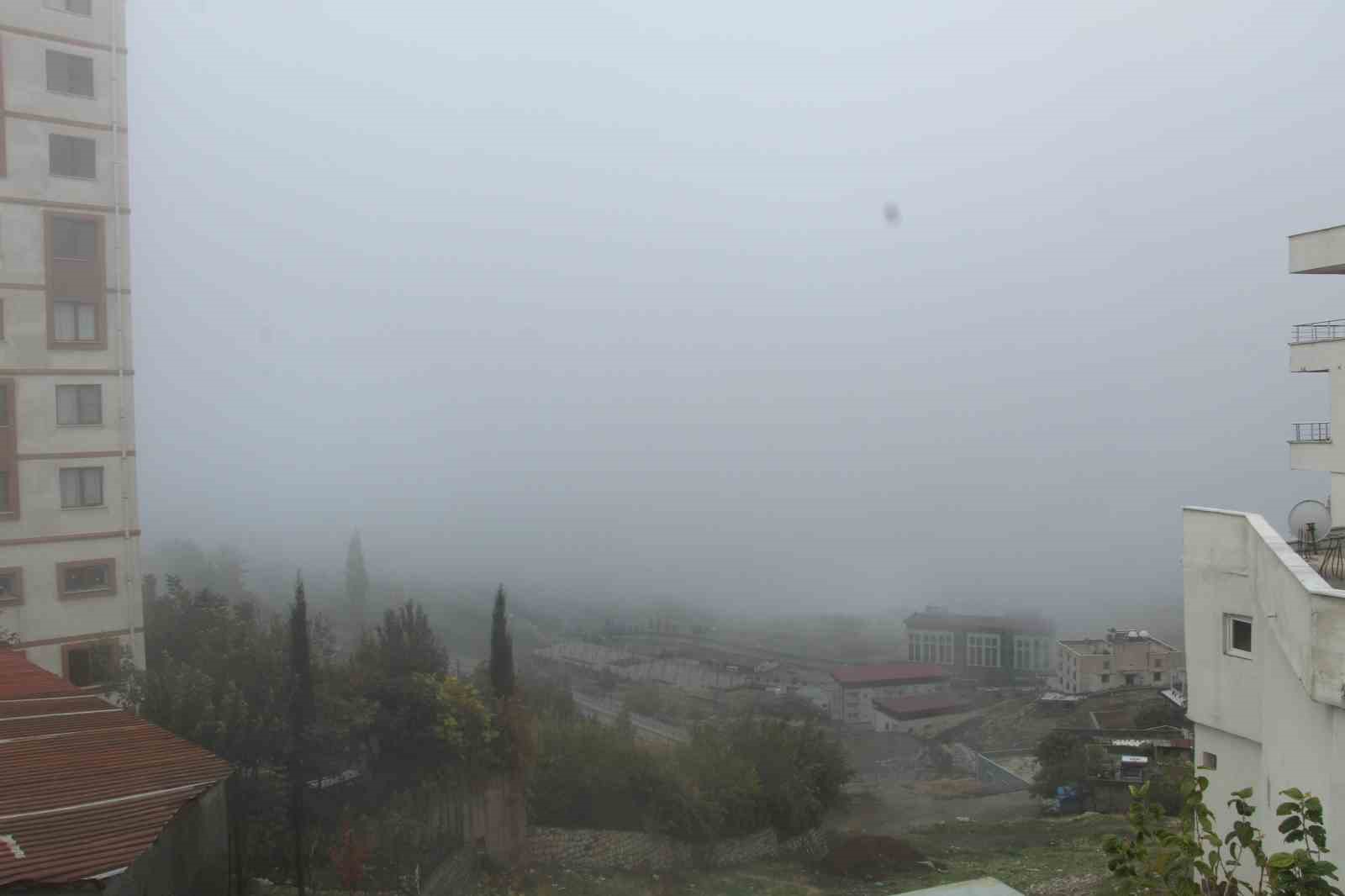 Şırnak&rsquo;ta sis etkili oldu
