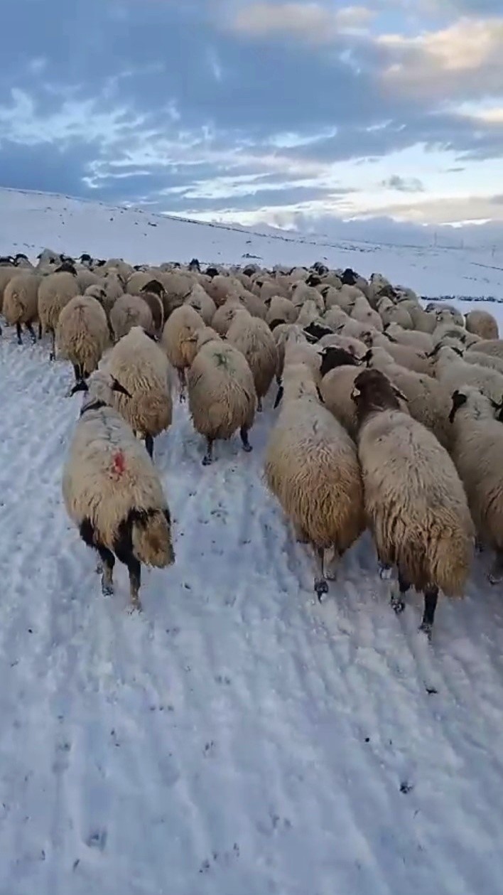Ağrı kar yağışı etkili oldu
