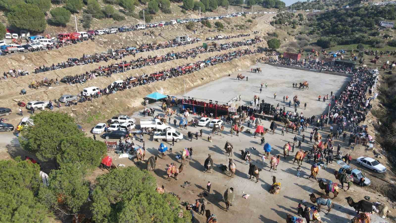 Koçarlı’da deve güreşi heyecanı yaşanacak