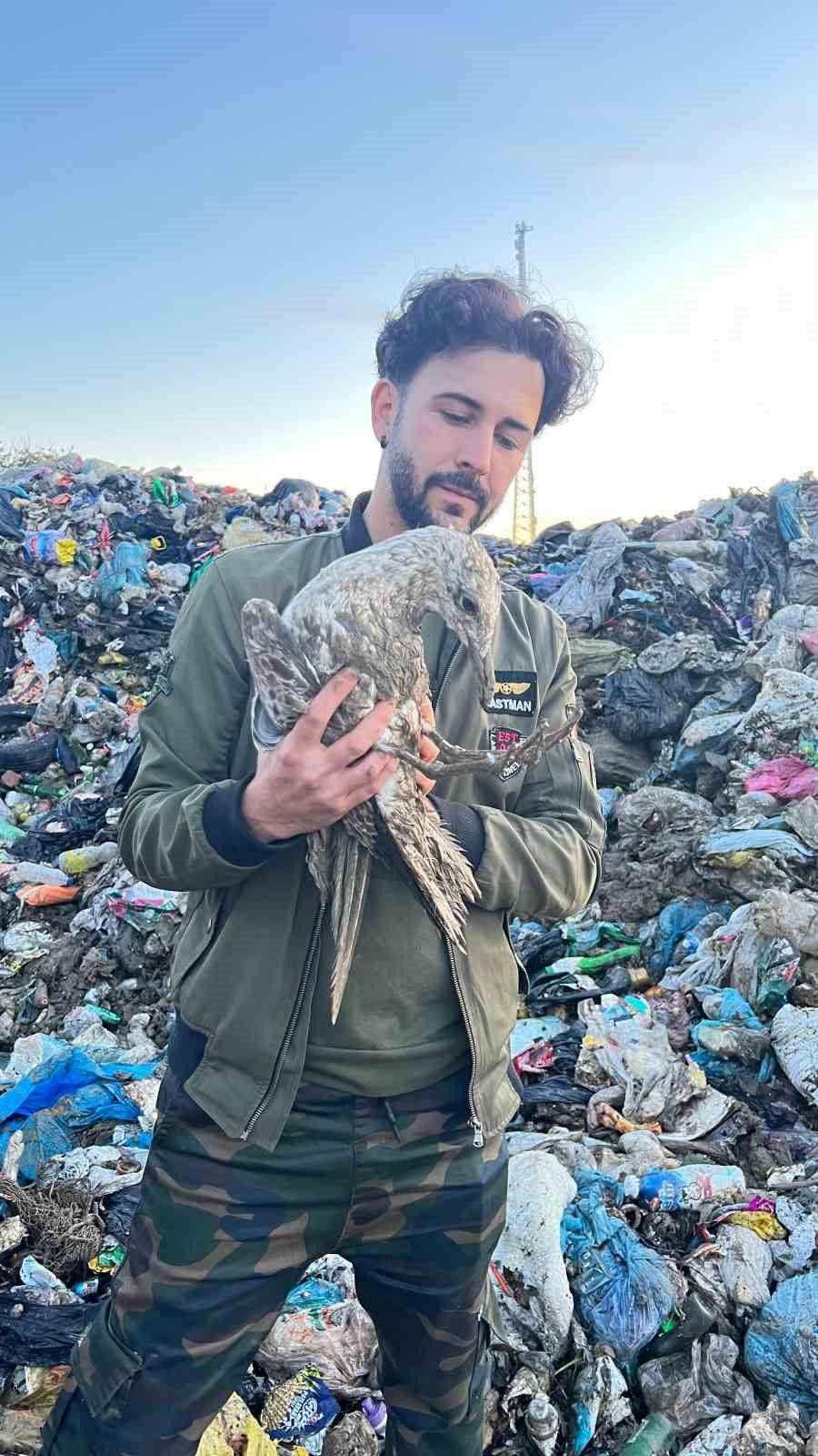 &Ccedil;&ouml;pl&uuml;kte kurtarılmayı bekleyen martıyı tedavi edip doğaya saldı
