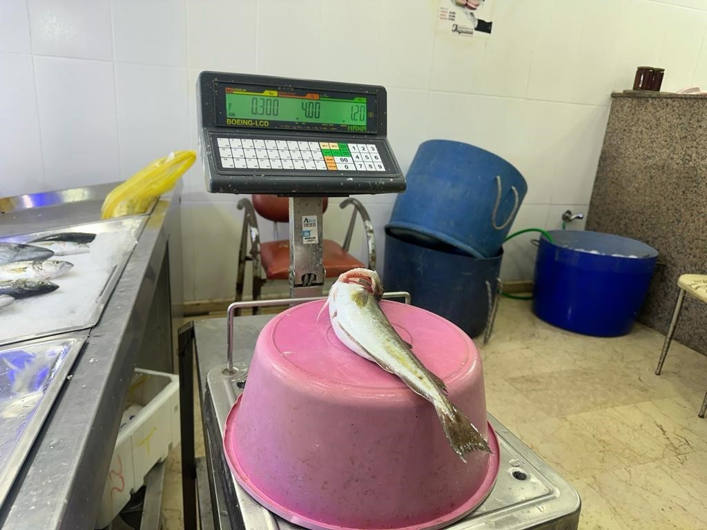 Karadeniz’de 300 gramlık mezgit yakalandı