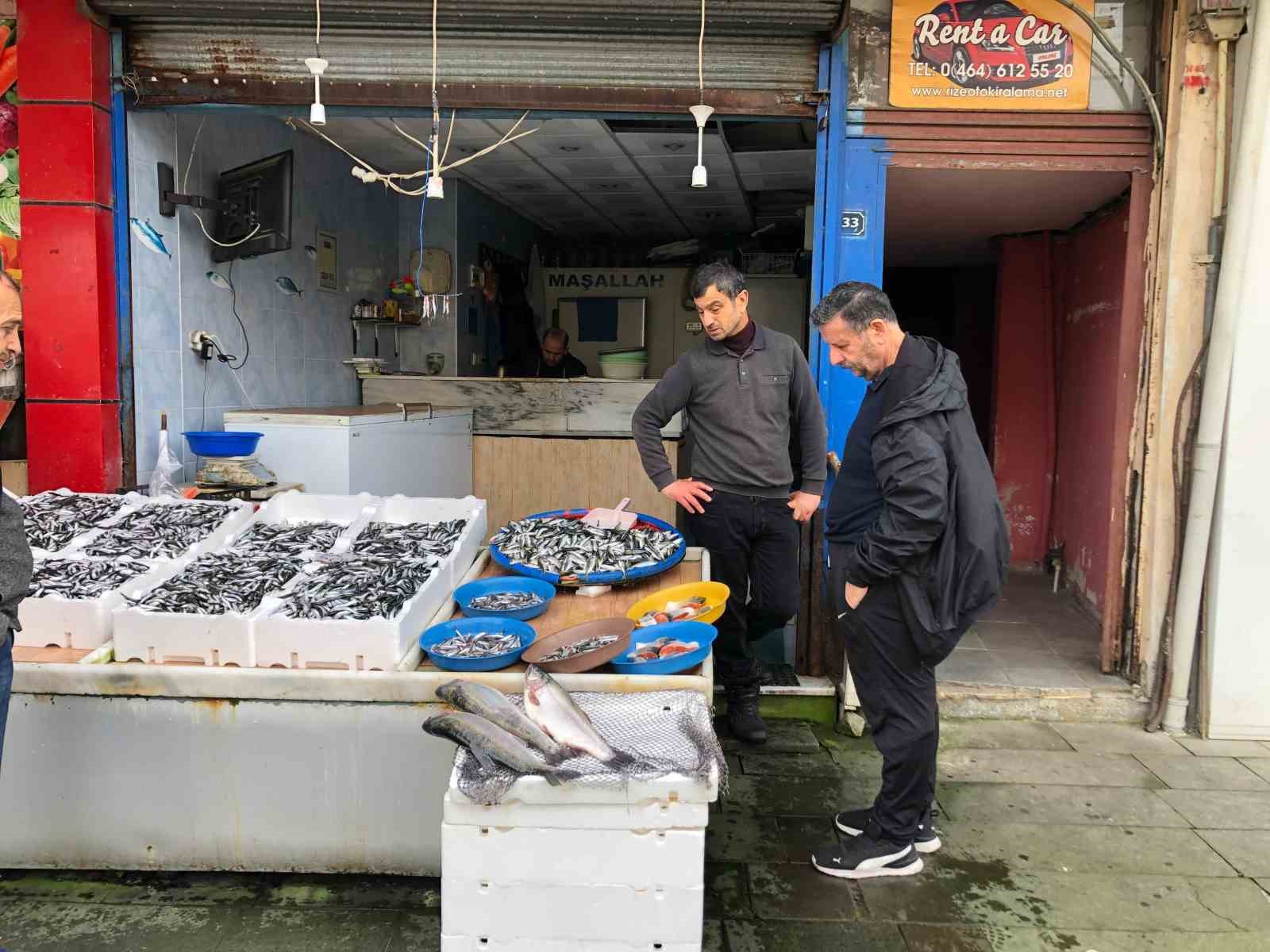 Karadeniz’de hamsi bolluğu sürüyor
