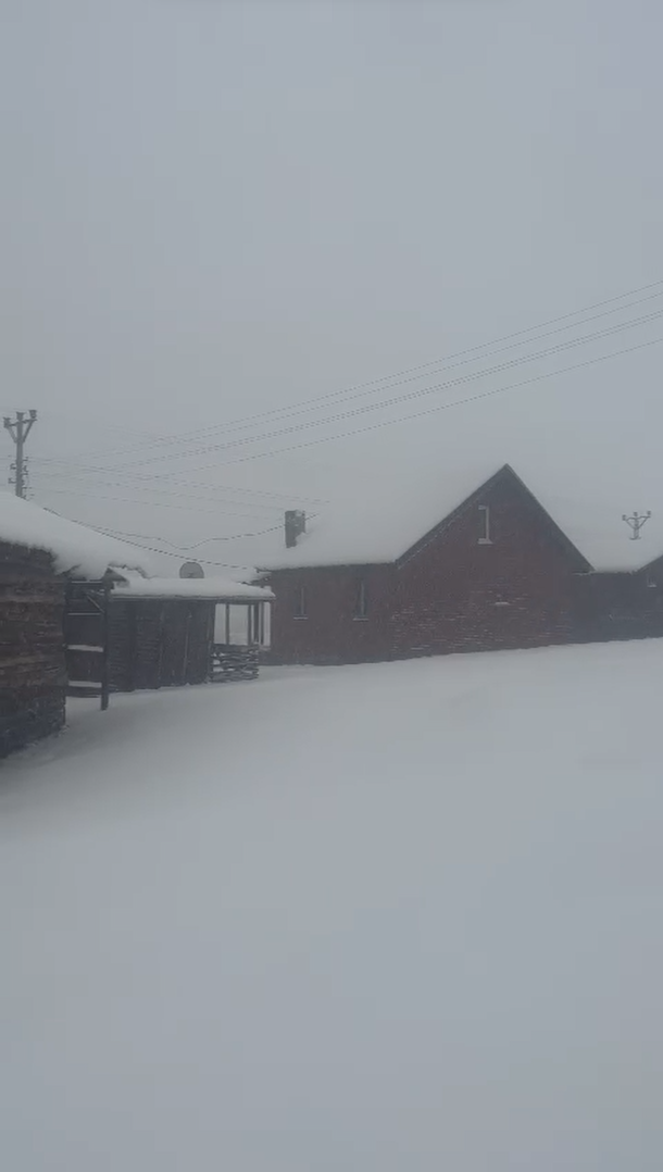 Yalova Delmece Yaylası&rsquo;na mevsimin ilk karı yağdı
