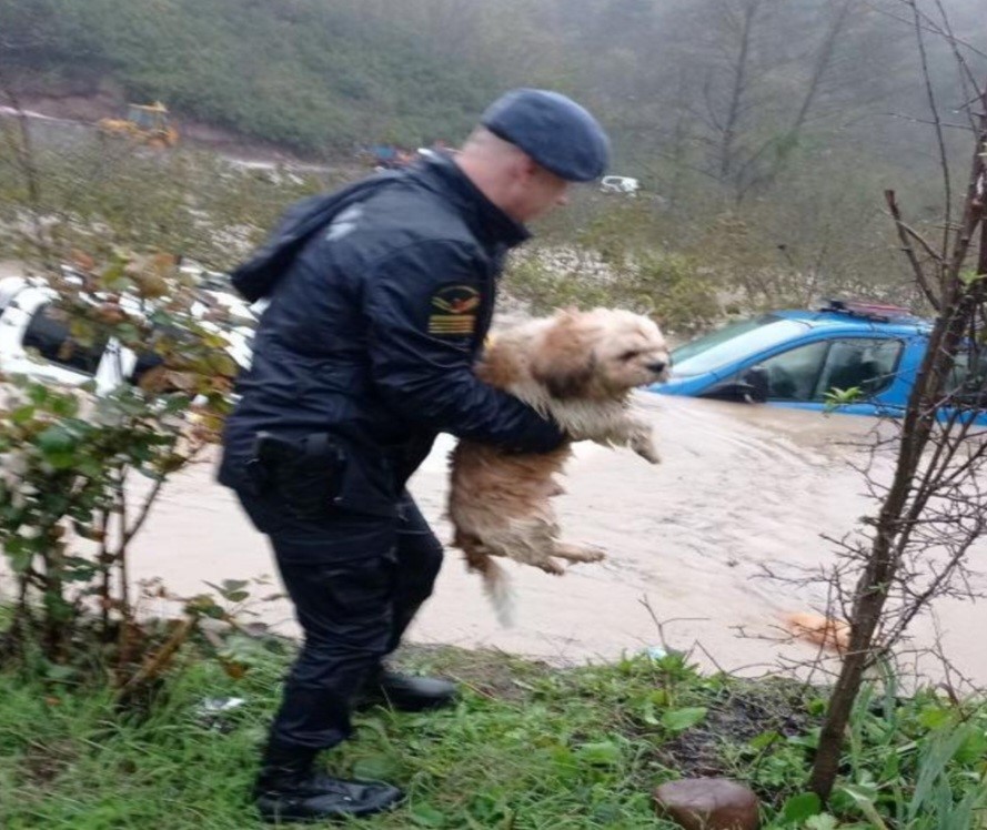 Zonguldak&rsquo;ta selin ortasında ara&ccedil;ta mahsur kalan 4 kişi ve 2 k&ouml;pek kurtarıldı
