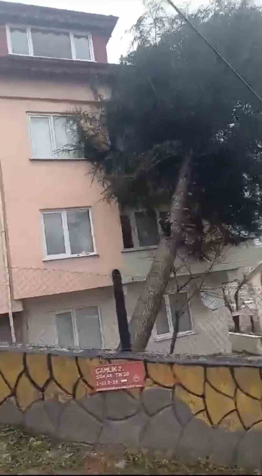 Devrek ve G&ouml;k&ccedil;ebey il&ccedil;elerinde  fırtına ve sağanak olumsuz etkiledi
