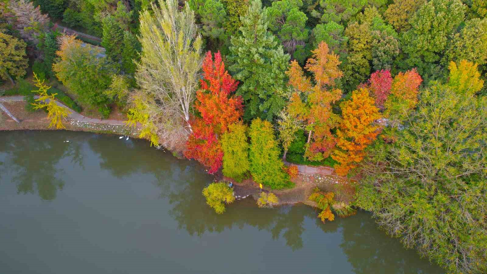 Atatürk Arboretumu’nda kartpostallık manzaralar