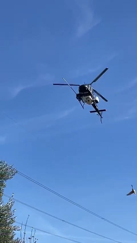 Yüksek gerilim hatları helikopterle temizlendi