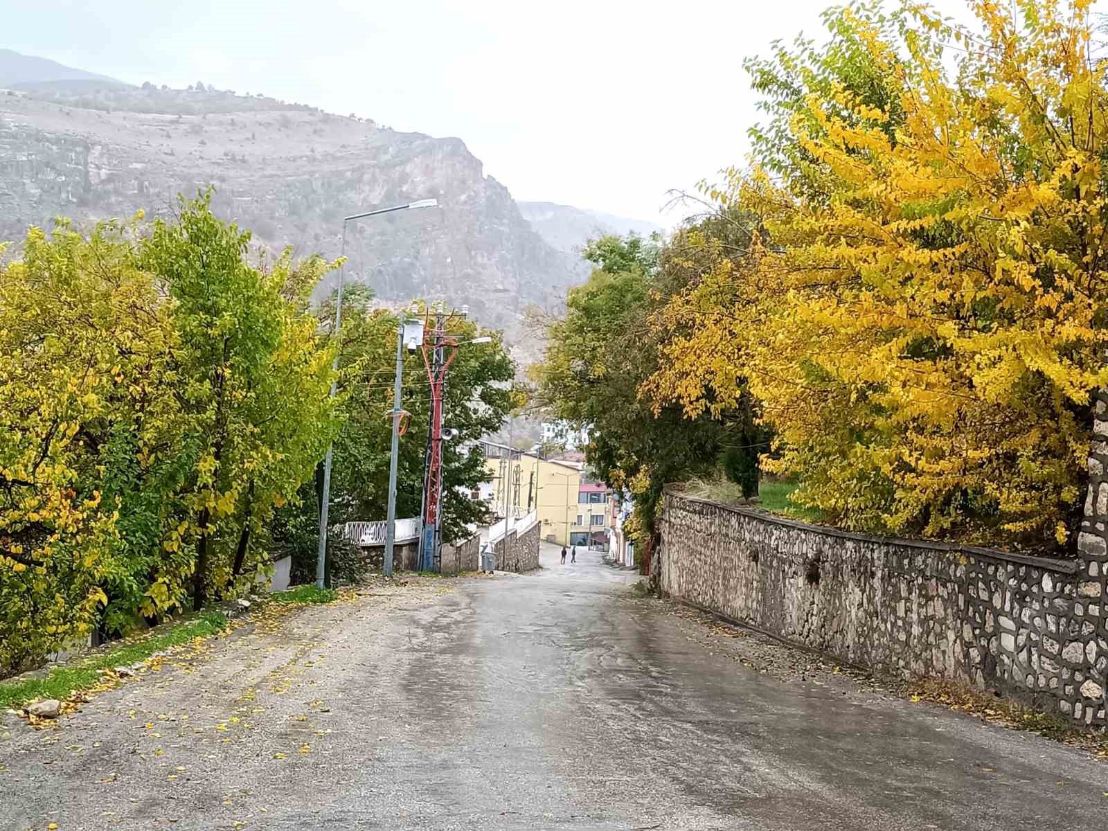 Tunceli’de iki mevsim aynı anda yaşanıyor: Bir yanı kara kış diğer yanında çiçek açıyor
