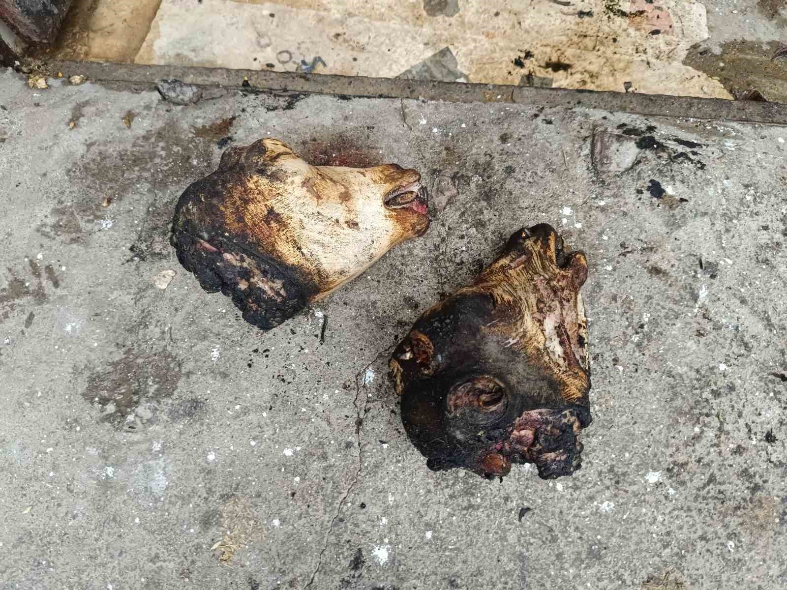 Havaların soğumasıyla sakatat ürünlerine talep arttı
