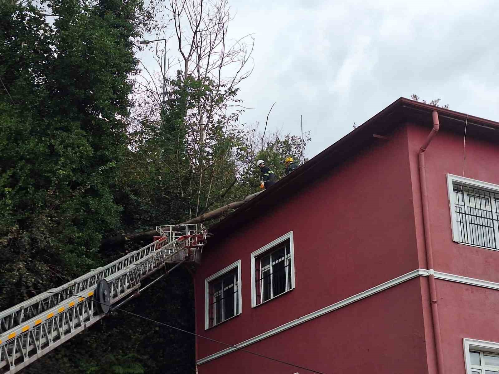 Karakolun &ccedil;atısına devrilen ağa&ccedil; kaldırıldı
