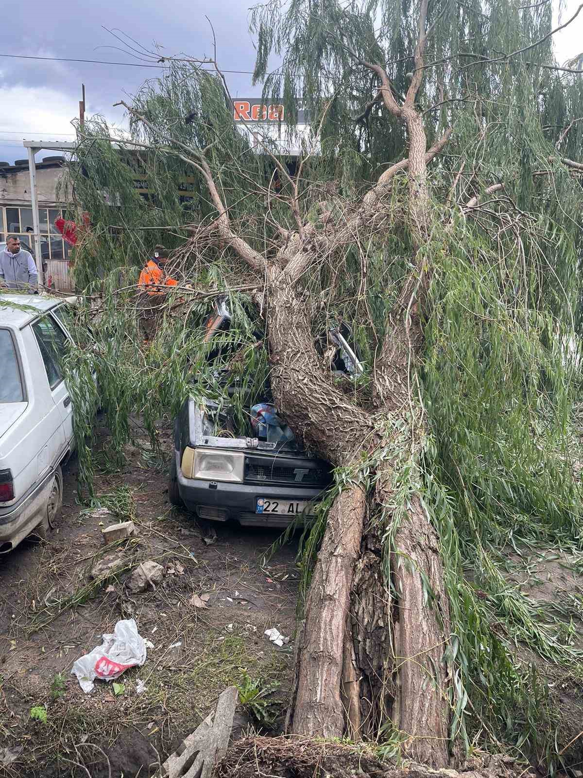 Kırklareli&rsquo;nde şiddetli r&uuml;zgar ağa&ccedil;ları devirdi
