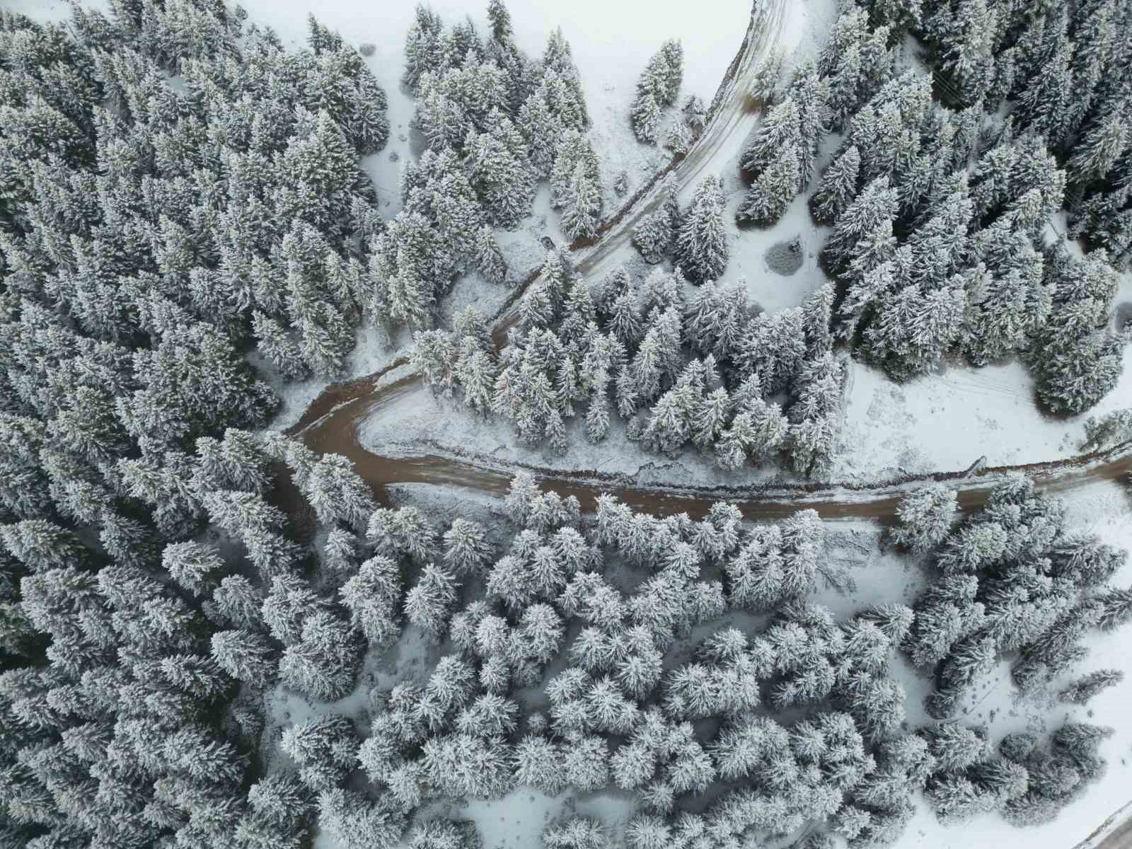 Giresun yaylalarından kartpostallık kar manzaraları
