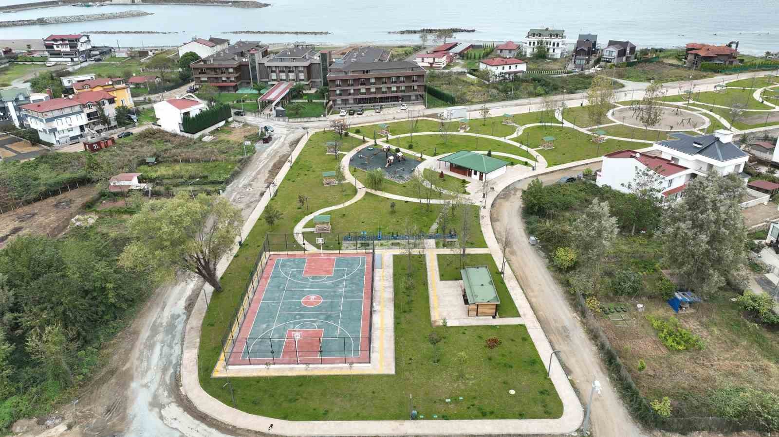 Bataklıktı yaşam alanı oldu
