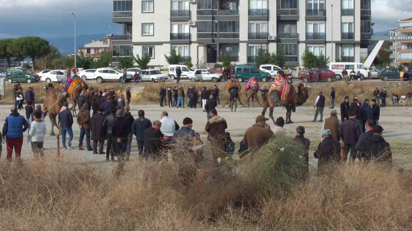 Balıkesir&rsquo;de develer i&ccedil;in havut hayrı yapıldı
