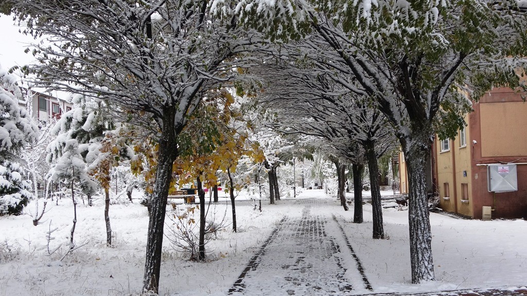 Bitlis’te kar yağışı