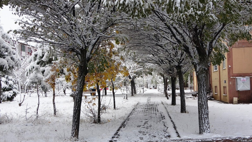 Bitlis&rsquo;te kar yağışı
