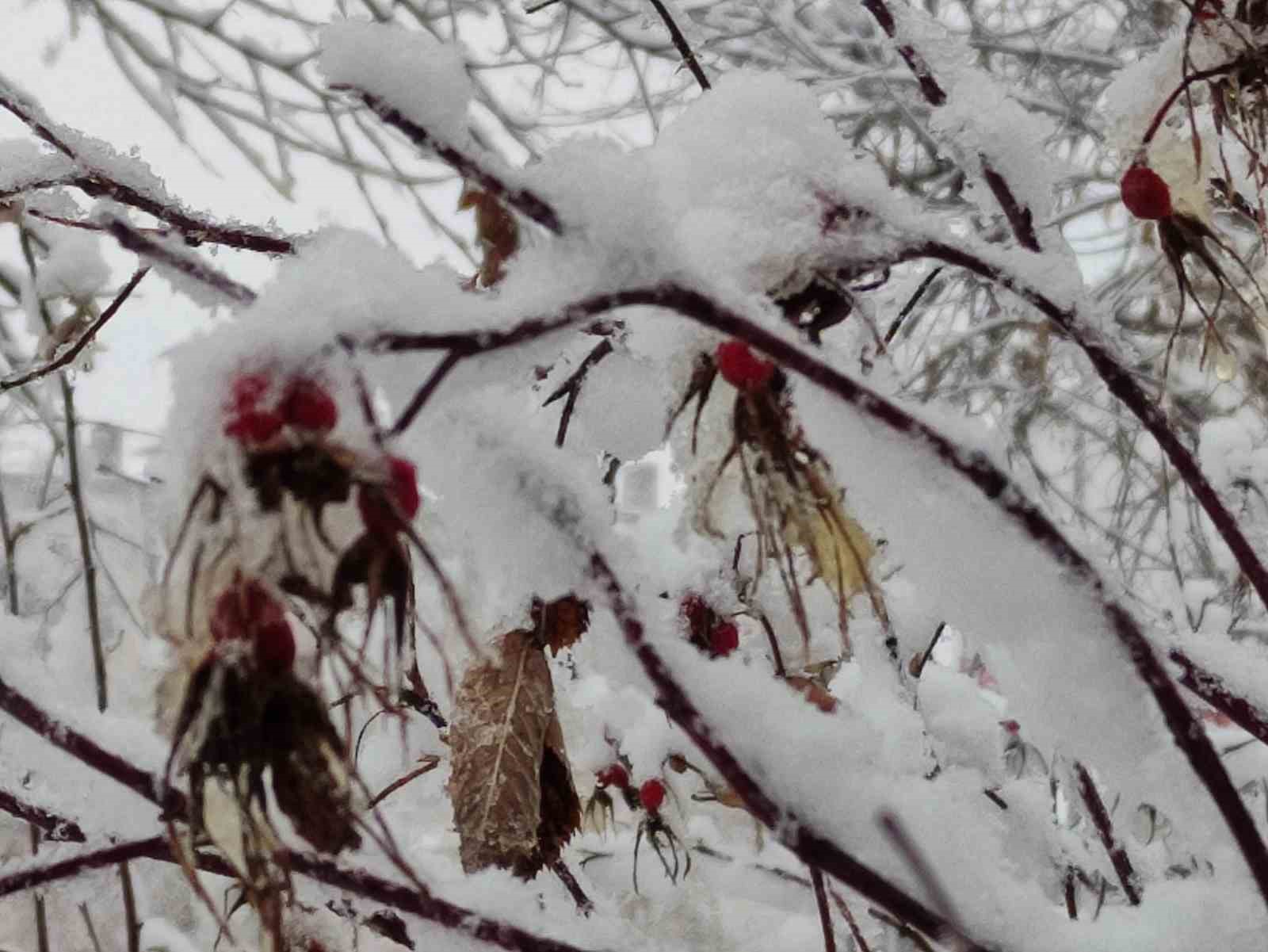 Ardahan’da kartpostallık kar manzaraları