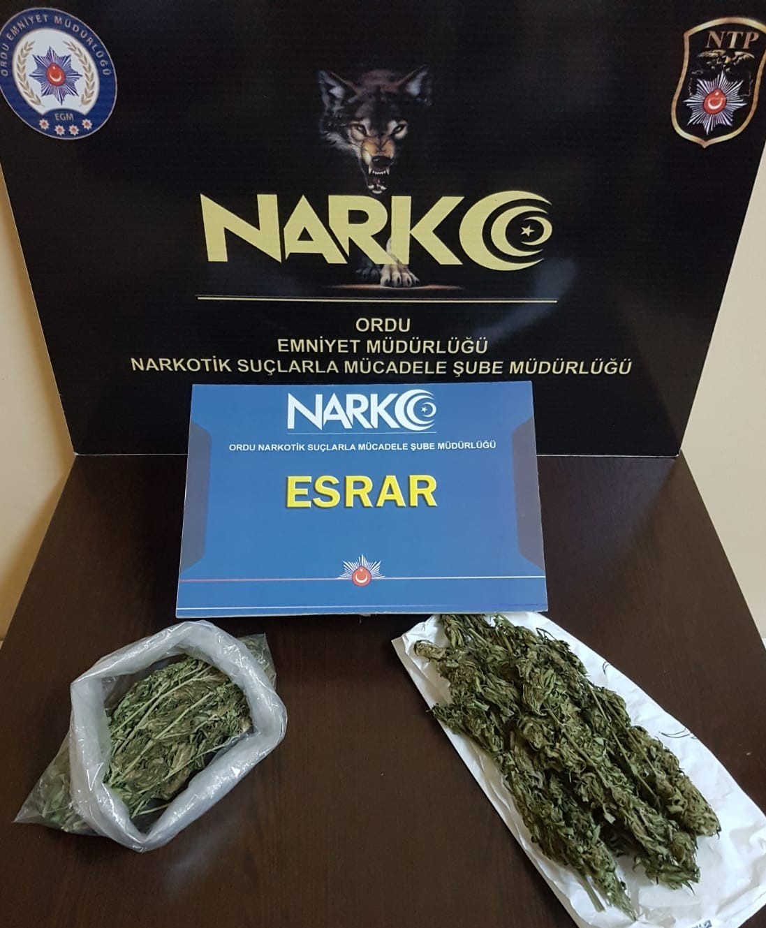 Ordu’da uyuşturucu operasyonları: 16 şahıs hakkında işlem yapıldı