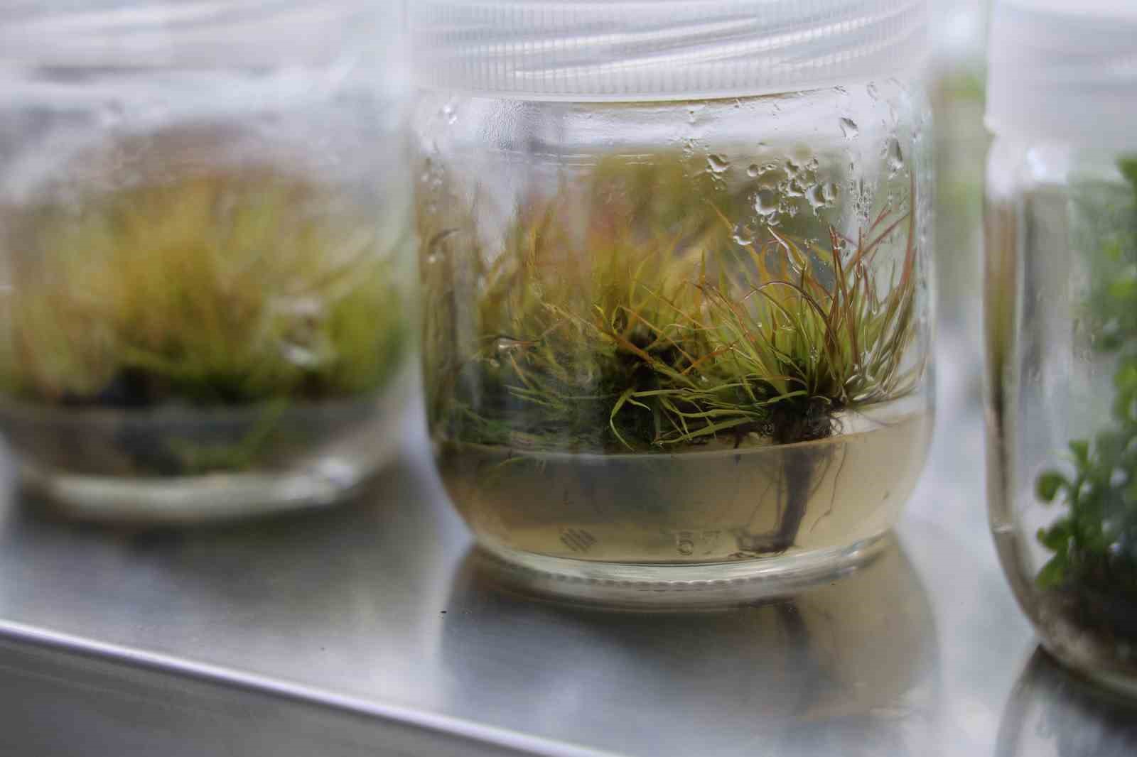 SBTÜ'den açlık tehdidine çözüm