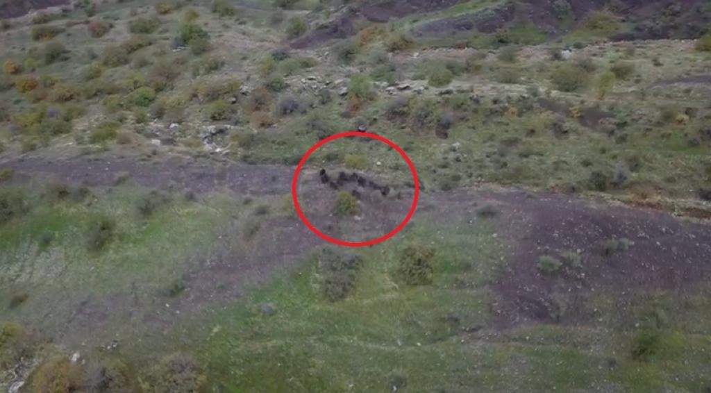 Diyarbakır’da domuz sürüsünün kaçışı dronla görüntülendi
