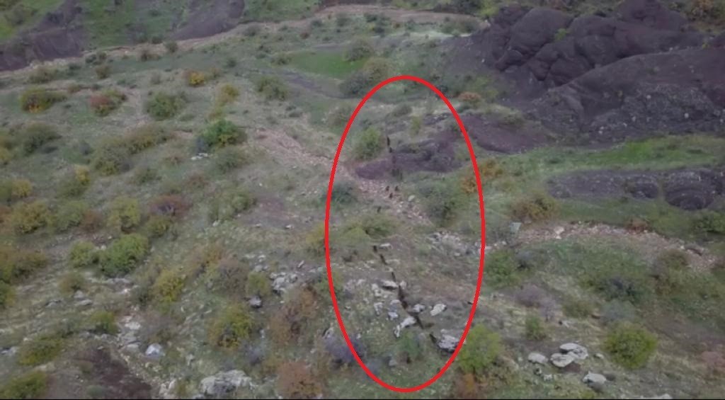 Diyarbakır’da domuz sürüsünün kaçışı dronla görüntülendi
