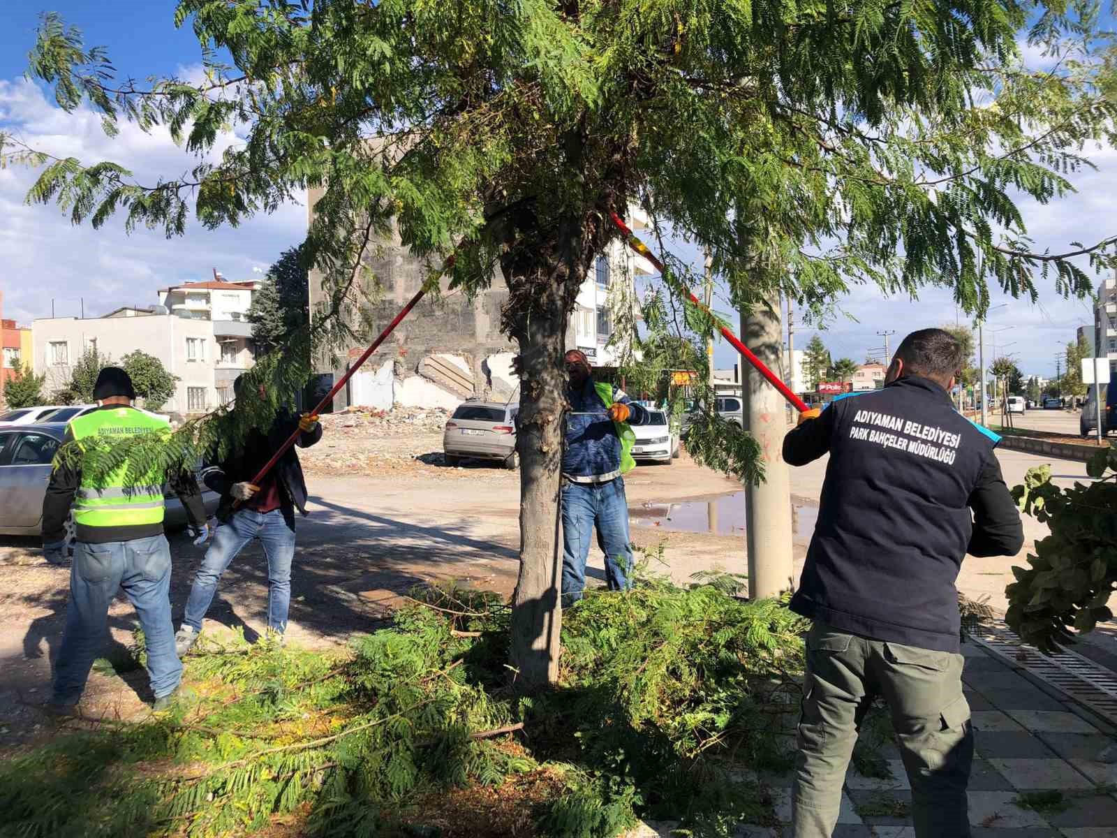 Adıyaman Belediyesi budama çalışmalarına devam ediyor