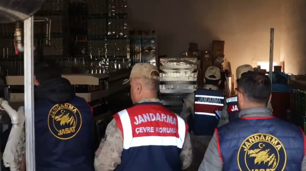 Şanlıurfa’da 11 bin 236 litre sahte zeytinyağı ele geçirildi