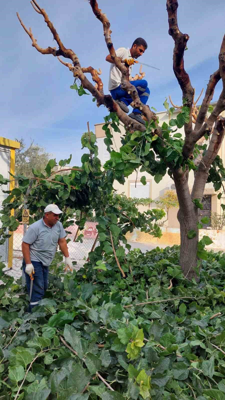 Mut&rsquo;ta yol, park ve bah&ccedil;elerin kışlık bakımı yapılıyor
