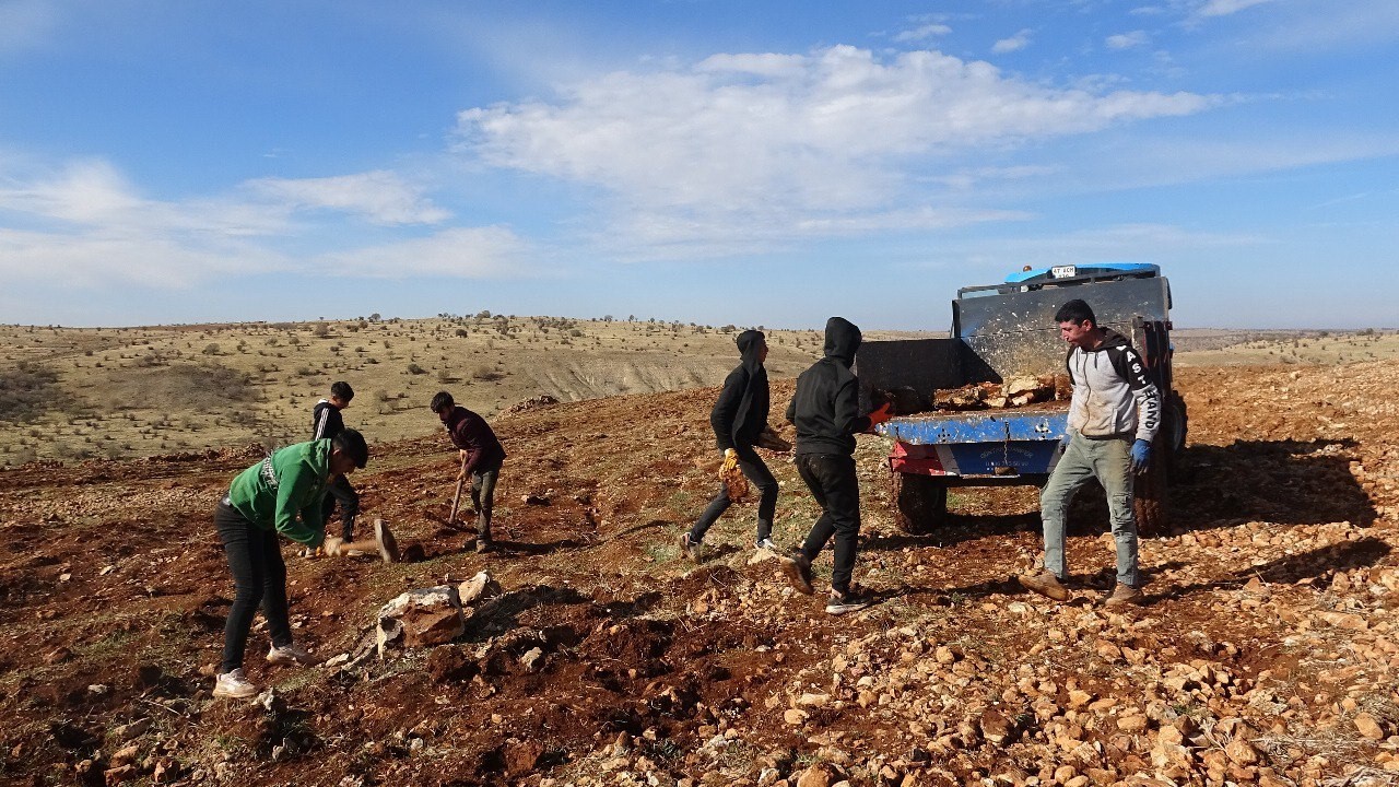 Mega kent İstanbul’u bırakan çiftçi, Mardin’de gül ve lavanta ekimi yapıyor