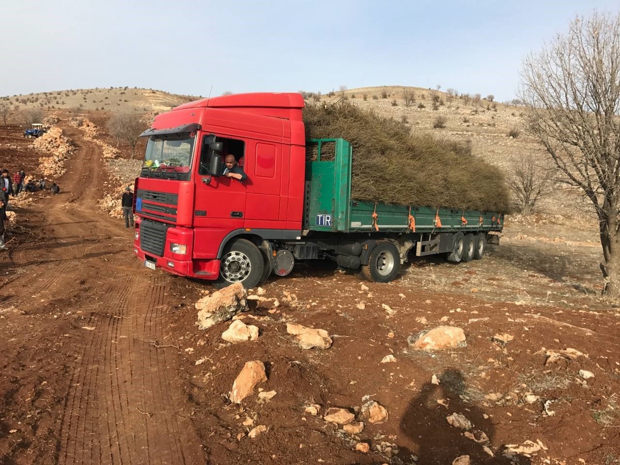 Mega kent İstanbul&rsquo;u bırakan &ccedil;ift&ccedil;i, Mardin&rsquo;de g&uuml;l ve lavanta ekimi yapıyor
