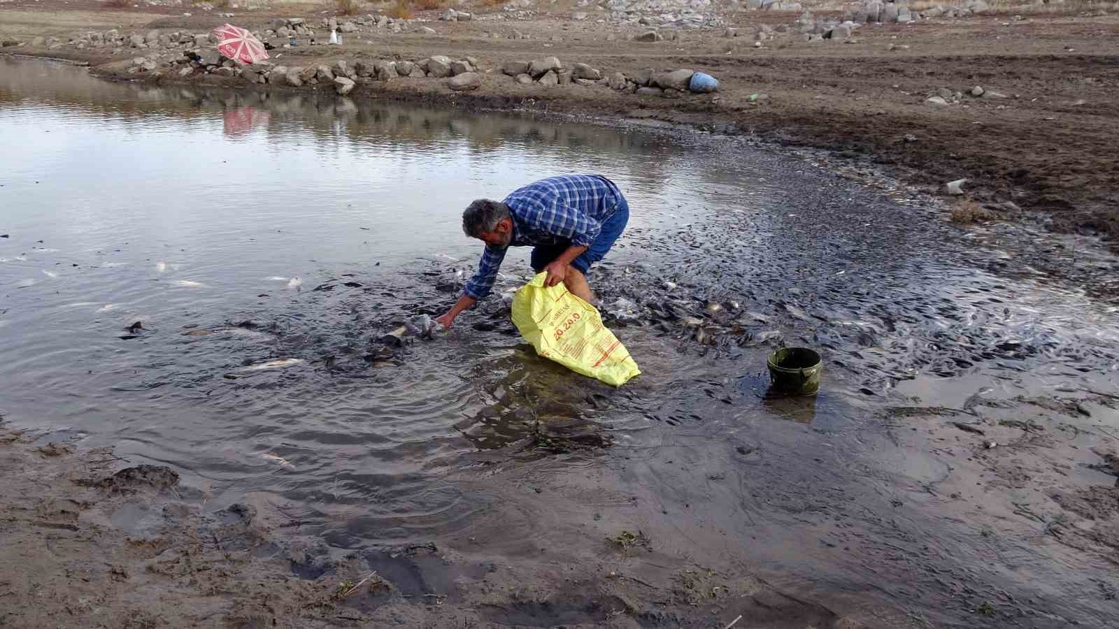 Yozgat&rsquo;ta sulama barajında toplu balık &ouml;l&uuml;mleri yaşandı
