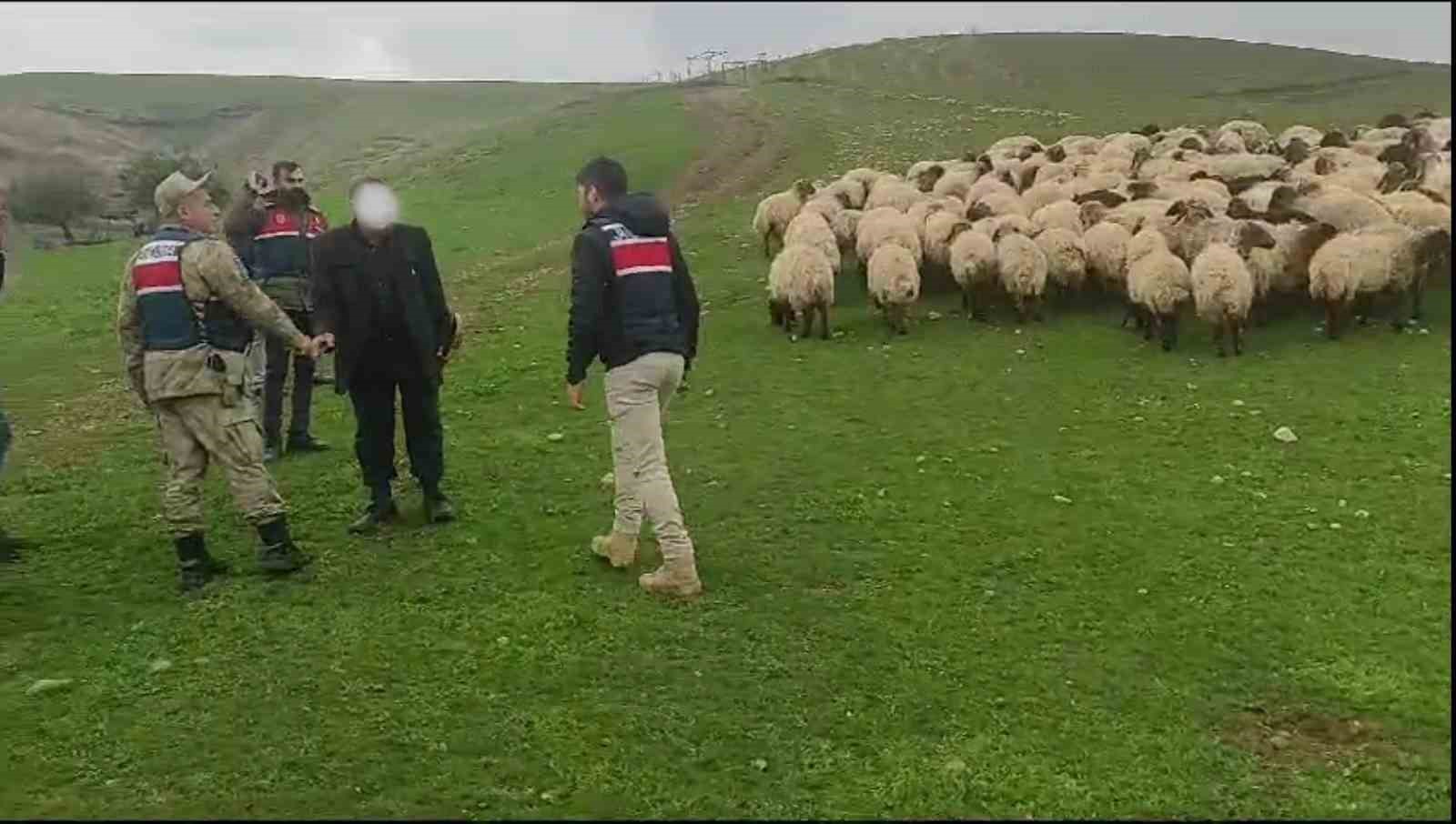 Siirt&rsquo;te 330 k&uuml;&ccedil;&uuml;kbaş hayvan hırsızlığında 2 tutuklama
