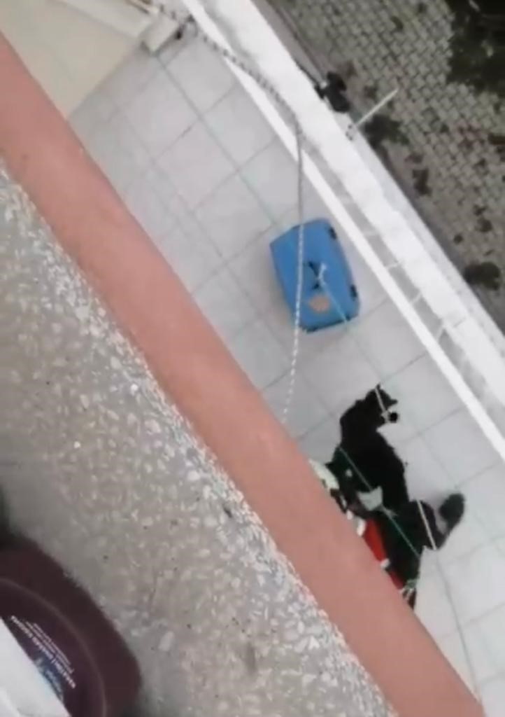 Balkonda mahsur kalan kediyi itfaiye ekipleri kurtardı